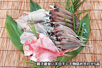 銚子産旨い天日干し干物詰め合わせ5品（冷凍）